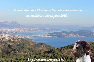 Chasseurs Seynois